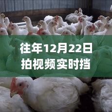 往年12月22日视频实时挡脸软件测评与推荐，最佳软件选择指南