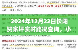 2024年12月22日长阳贺家坪实时路况小红书播报指南