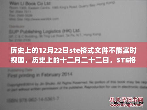 历史上的十二月二十二日STE格式文件实时视图问题探讨与观点碰撞