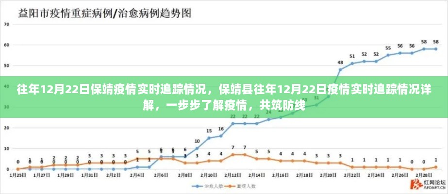 保靖县往年12月22日疫情实时追踪详解，共同筑牢防线，了解疫情每一步进展