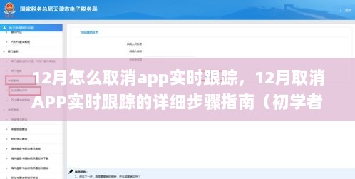 12月取消APP实时跟踪的详细步骤指南，适合初学者与进阶用户