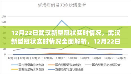 武汉新型冠状病毒实时情况解析，最新进展与应对策略（初学者进阶指南）