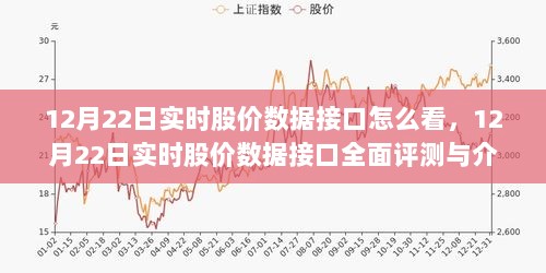 12月22日实时股价数据接口详解与全面评测，如何解读实时股价数据接口？