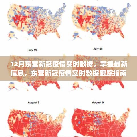 12月东营新冠疫情实时数据跟踪指南，从初学者到进阶用户的必备指南