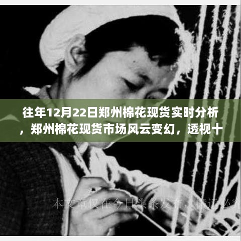 深度解析，郑州棉花现货市场风云变幻——往年12月22日实时分析与深度透视