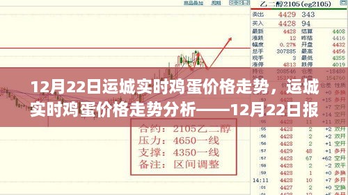 运城实时鸡蛋价格走势分析报告，12月22日市场观察与趋势分析