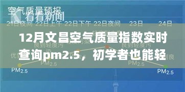 初学者也能轻松掌握，12月文昌空气质量指数PM2.5实时查询指南