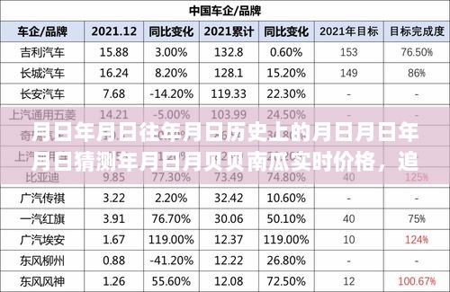 南瓜与月影，追寻宁静旅程与实时价格探索，内心的平和之旅