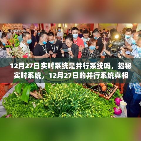 揭秘实时系统，解析并行系统真相，探寻12月27日的答案