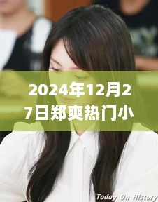 探秘郑爽热门小说，小巷深处的宝藏独家下载资源分享（2024年12月27日）