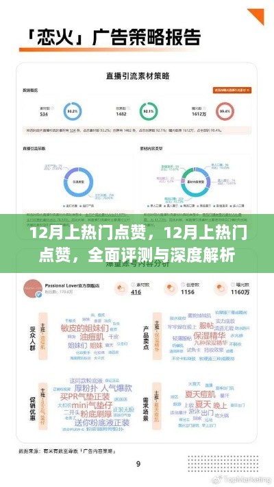 全面评测与深度解析，12月热门点赞内容回顾