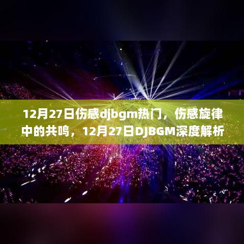 12月27日伤感DJBGM深度解析，旋律中的共鸣与情感回响