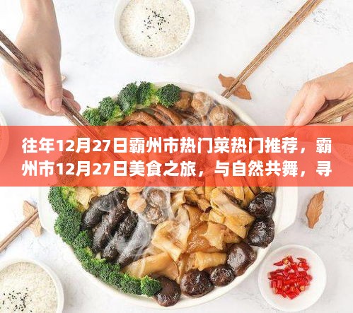 霸州市12月27日美食与自然之旅，探寻热门菜肴，心灵宁静之旅