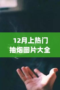 烟海狂欢，十二月热门吸烟图片盛事回顾与搞笑集锦