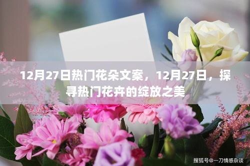 12月27日热门花朵绽放之美探索