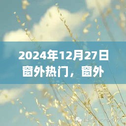 温馨日常与友情的邂逅，窗外热门话题回顾与展望（2024年12月27日）