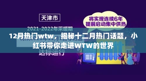 揭秘十二月热门话题，WTW的世界在小红书上热议！