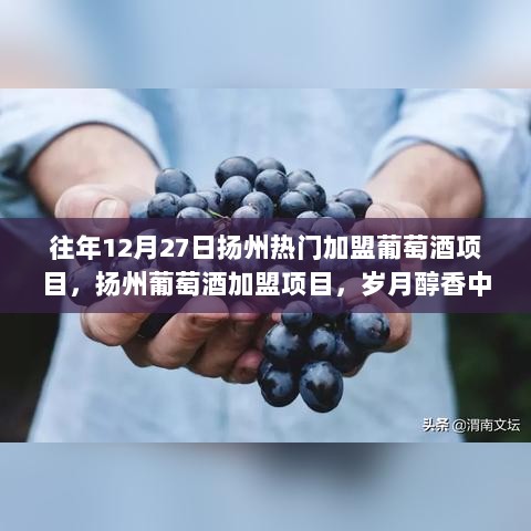 扬州葡萄酒加盟项目的繁荣之路，岁月醇香中的商业机遇