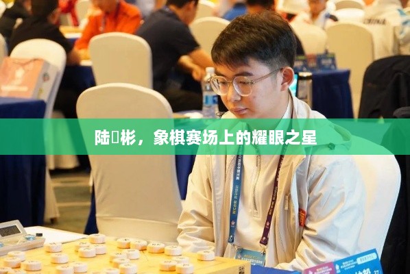 陆赟彬，象棋赛场上的耀眼之星