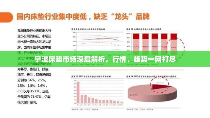 宁波床垫市场深度解析，行情、趋势一网打尽