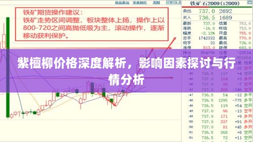 紫檀柳价格深度解析，影响因素探讨与行情分析