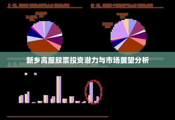 新乡高服股票投资潜力与市场展望分析