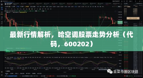 最新行情解析，哈空调股票走势分析（代码，600202）