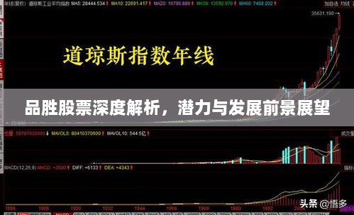 品胜股票深度解析，潜力与发展前景展望