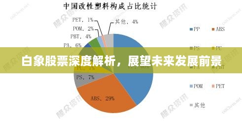 白象股票深度解析，展望未来发展前景