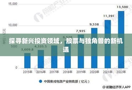 探寻新兴投资领域，股票与独角兽的新机遇