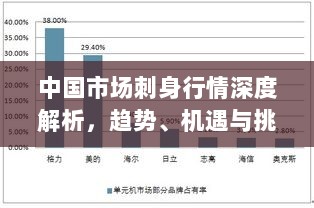 中国市场刺身行情深度解析，趋势、机遇与挑战