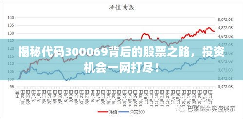 揭秘代码300069背后的股票之路，投资机会一网打尽！