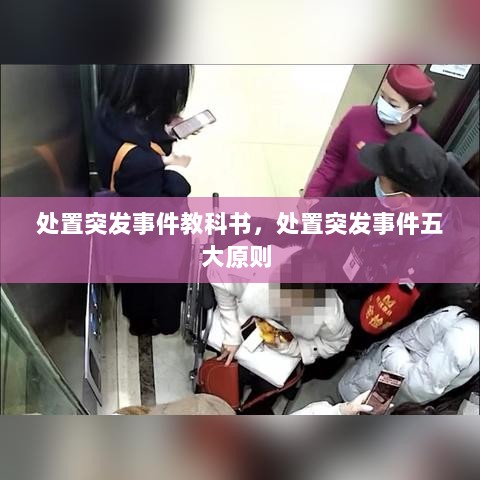 处置突发事件教科书，处置突发事件五大原则 