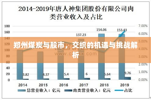 郑州煤炭与股市，交织的机遇与挑战解析