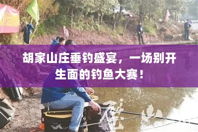 胡家山庄垂钓盛宴，一场别开生面的钓鱼大赛！