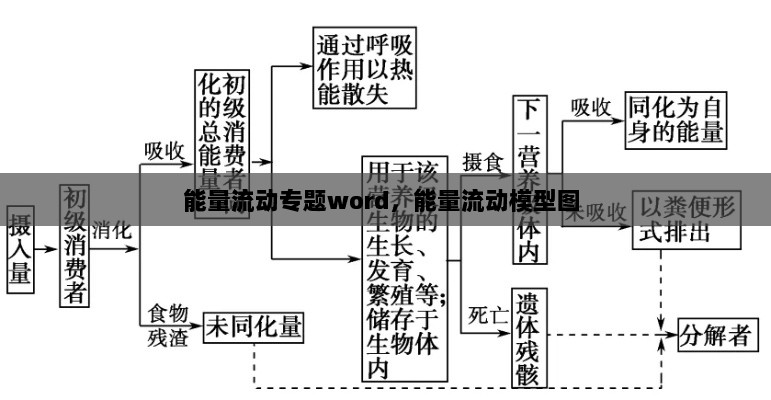 能量流动专题word，能量流动模型图 