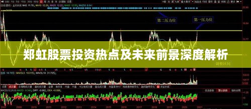 郑虹股票投资热点及未来前景深度解析