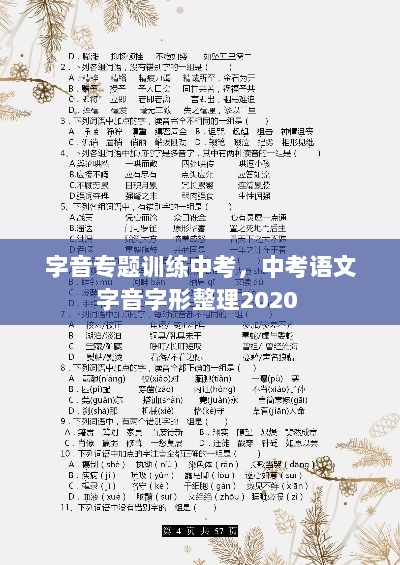 字音专题训练中考，中考语文字音字形整理2020 