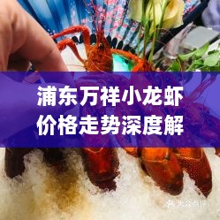 浦东万祥小龙虾价格走势深度解析