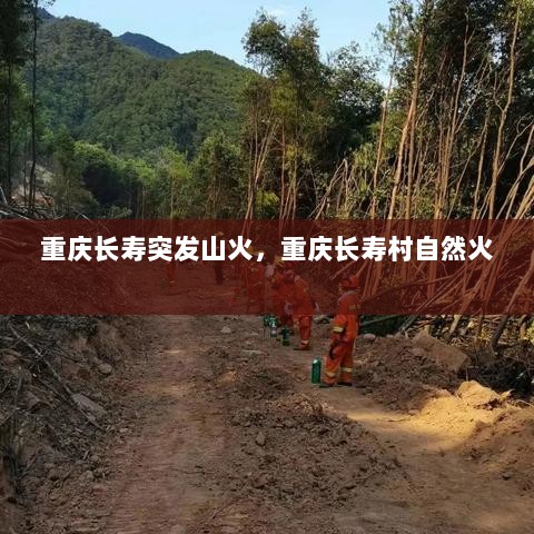 重庆长寿突发山火，重庆长寿村自然火 