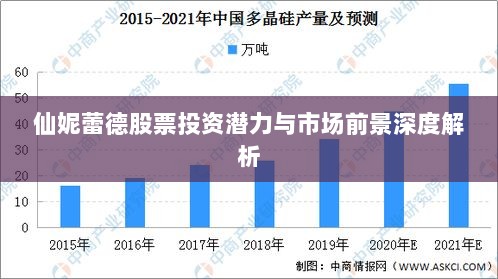 仙妮蕾德股票投资潜力与市场前景深度解析