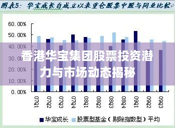 香港华宝集团股票投资潜力与市场动态揭秘