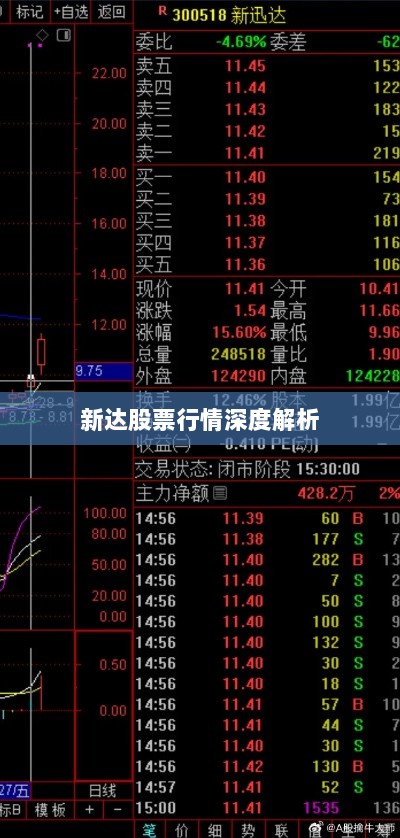 新达股票行情深度解析