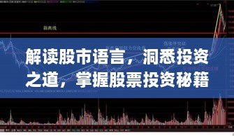 解读股市语言，洞悉投资之道，掌握股票投资秘籍