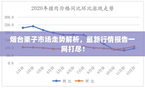 烟台栗子市场走势解析，最新行情报告一网打尽！