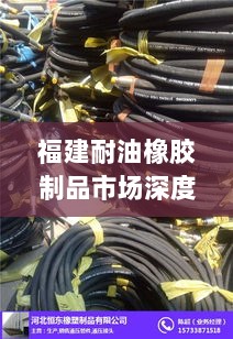 福建耐油橡胶制品市场深度解读，行情分析与趋势展望