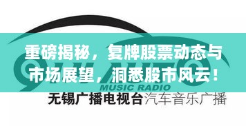 重磅揭秘，复牌股票动态与市场展望，洞悉股市风云！