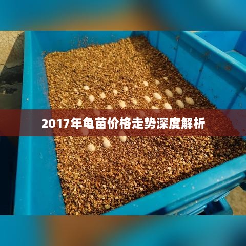 2017年龟苗价格走势深度解析