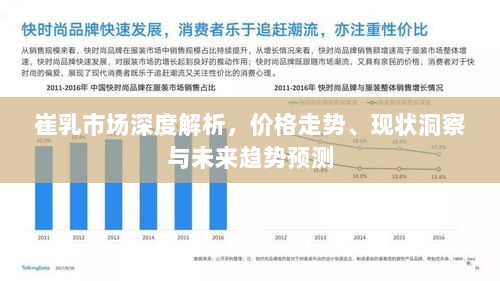 崔乳市场深度解析，价格走势、现状洞察与未来趋势预测