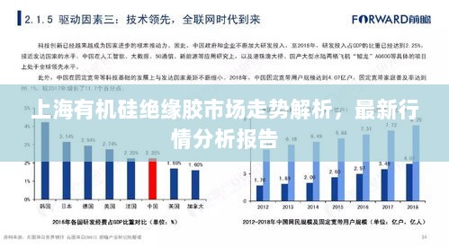 上海有机硅绝缘胶市场走势解析，最新行情分析报告